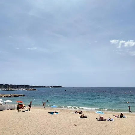 Near Croisette Atypic Garden Pool アパート カンヌ