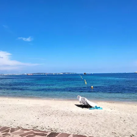 Near Croisette Atypic Garden Pool カンヌ