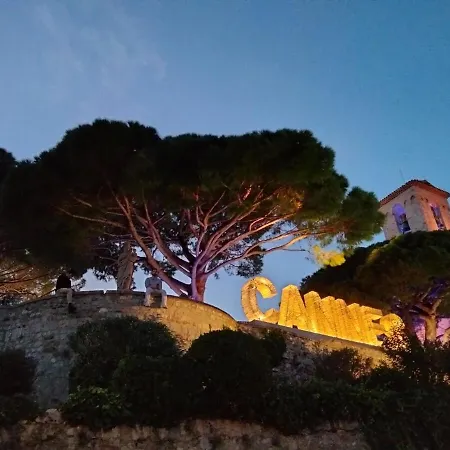 Near Croisette Atypic Garden Pool *